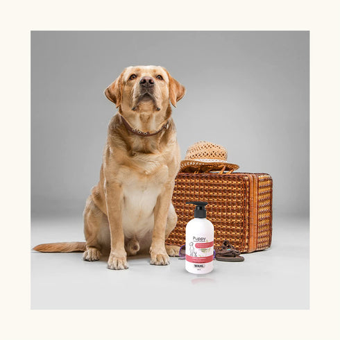 Wahl Puppy Cornflower Aloe Shampoo
